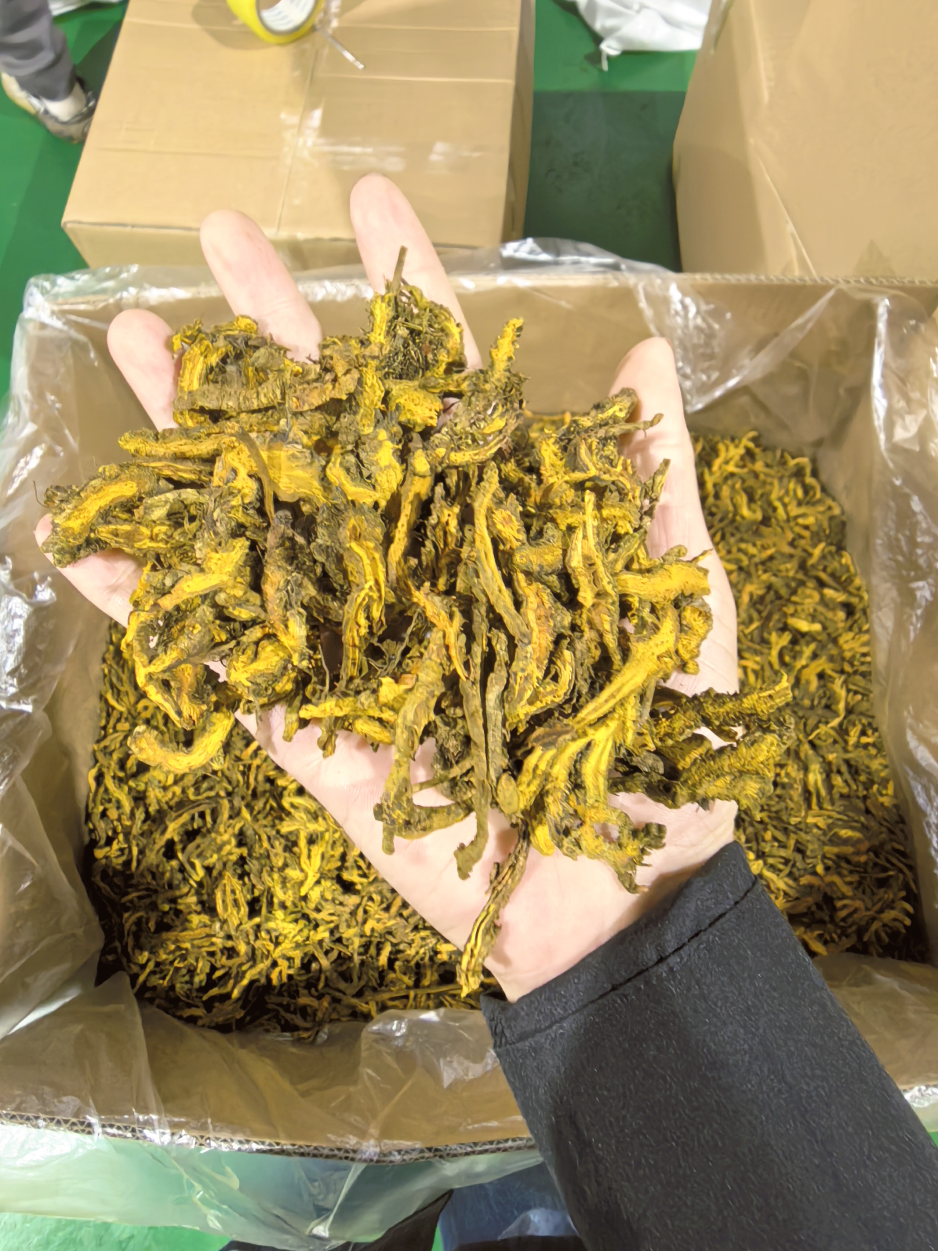 黄连片 3号筛 湖北恩施