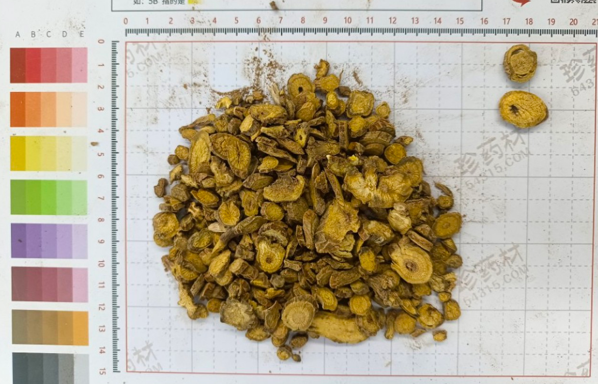 黄芩 6号筛 内蒙古赤峰