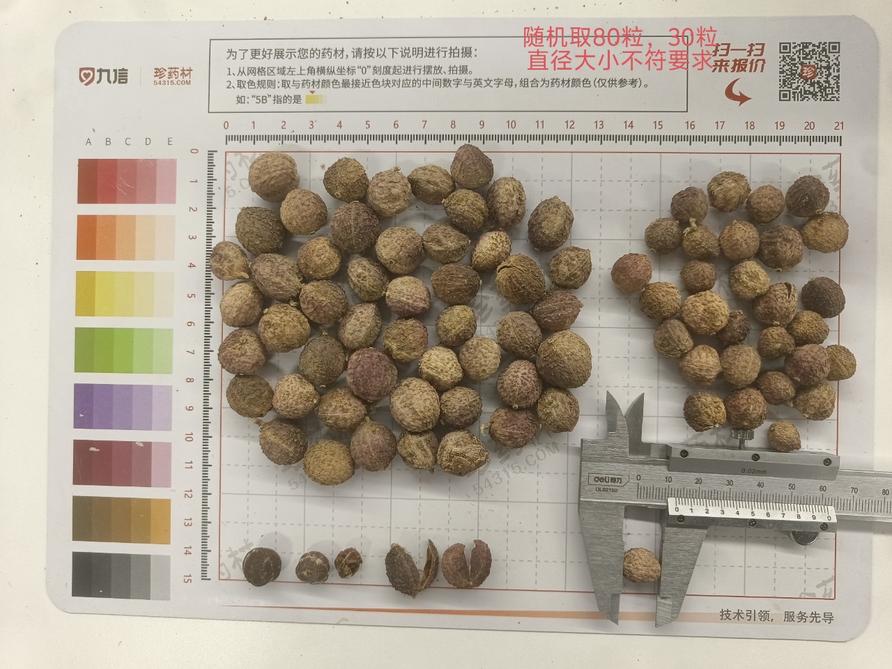 云南砂仁 统货 云南文山
