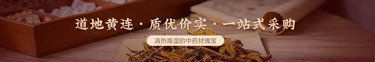 黄连
