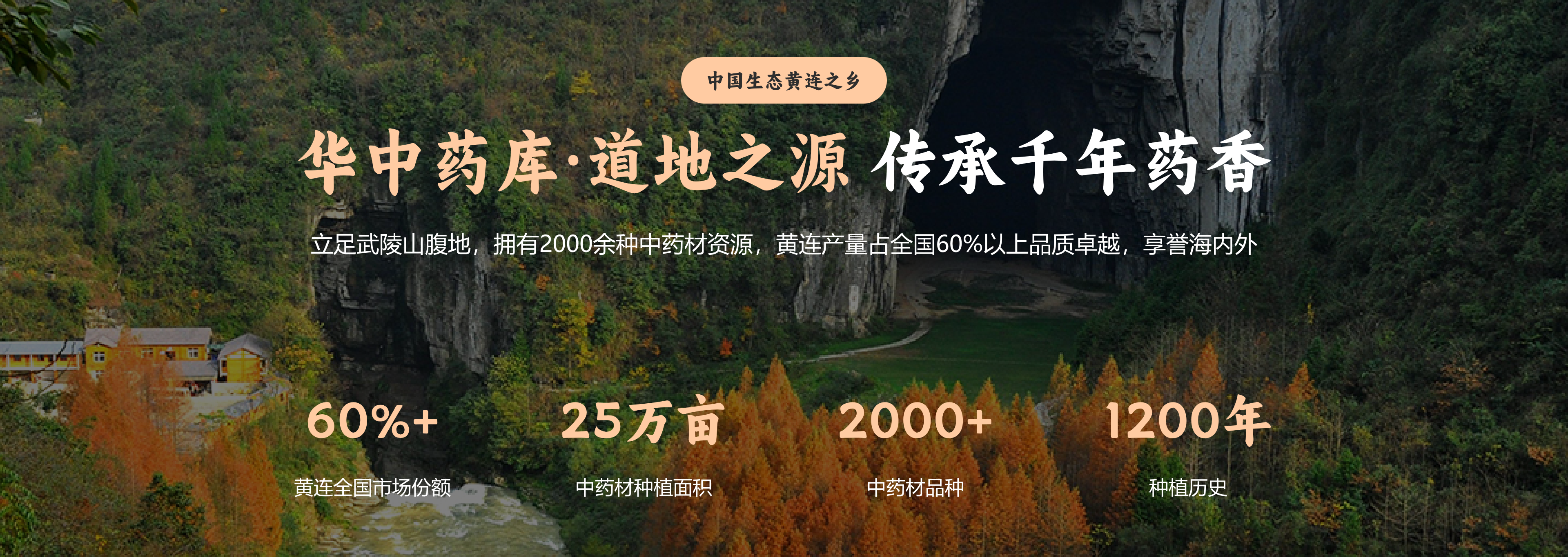 华中药库